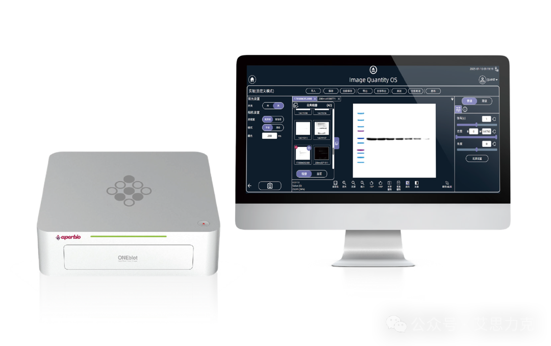 Western Blot 常用顯影方法原理與優(yōu)劣勢對比