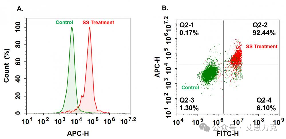 一文搞懂細胞凋亡檢測：Annexin V/PI、JC-1、Caspase-3活性、TUNEL、PARP、Sub-G1 等從原理到多參數(shù)實操